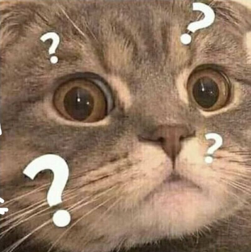 meme khó hiểu nhìn xong chẳng hiểu gì
