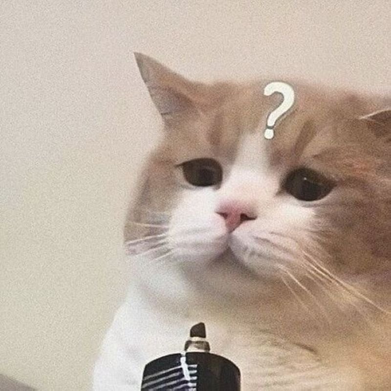 meme khó hiểu xem xong bật cười