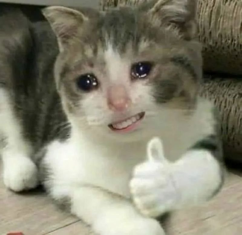 meme khóc biểu cảm cực mạnh