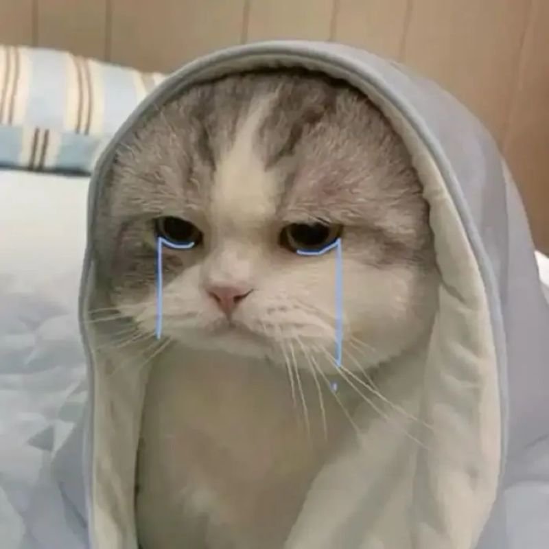 meme khóc cực kỳ đáng thương