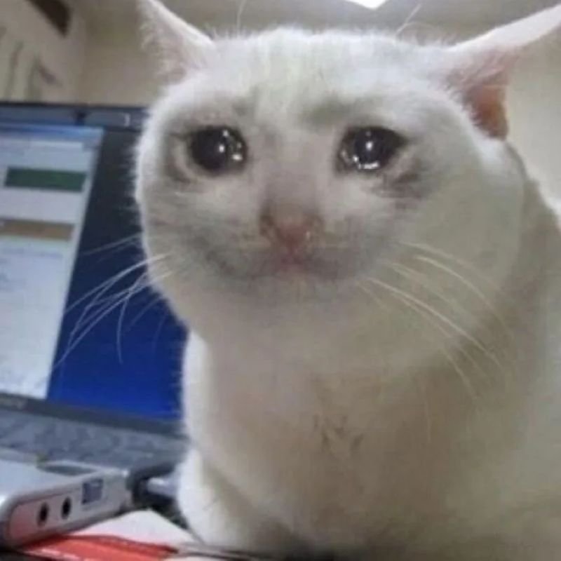 meme khóc cười trong nước mắt