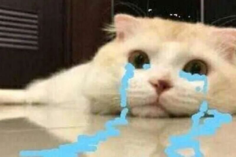 meme khóc dành cho hội ế