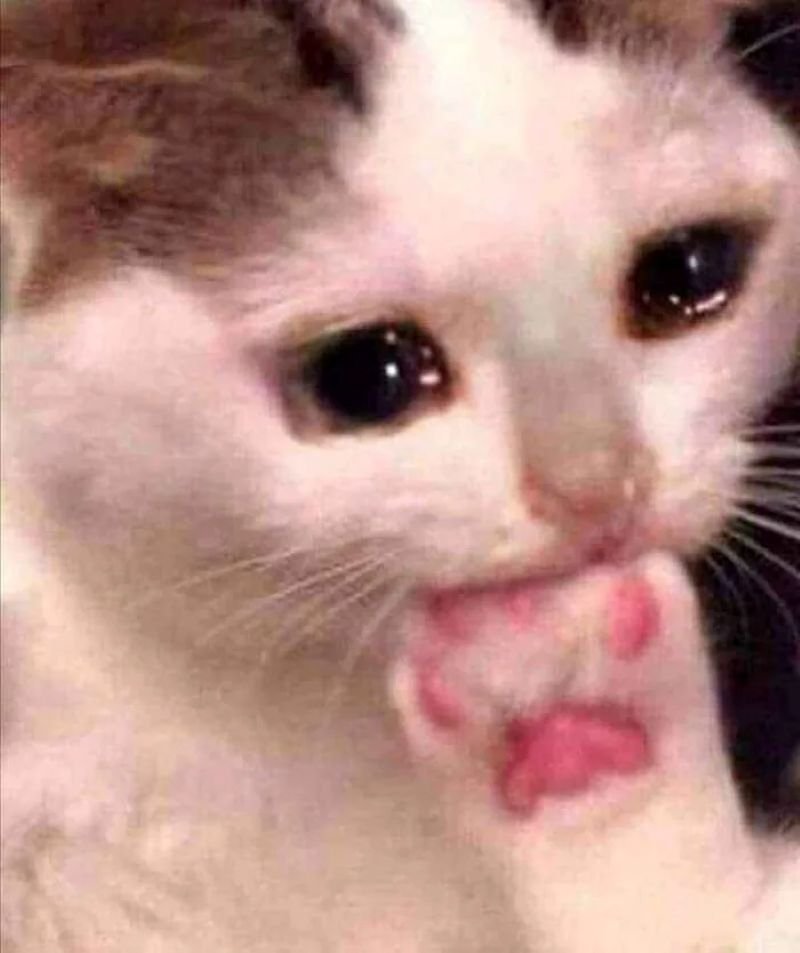 meme khóc đầy bất lực