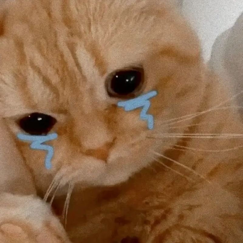 meme khóc khi cuộc đời trêu