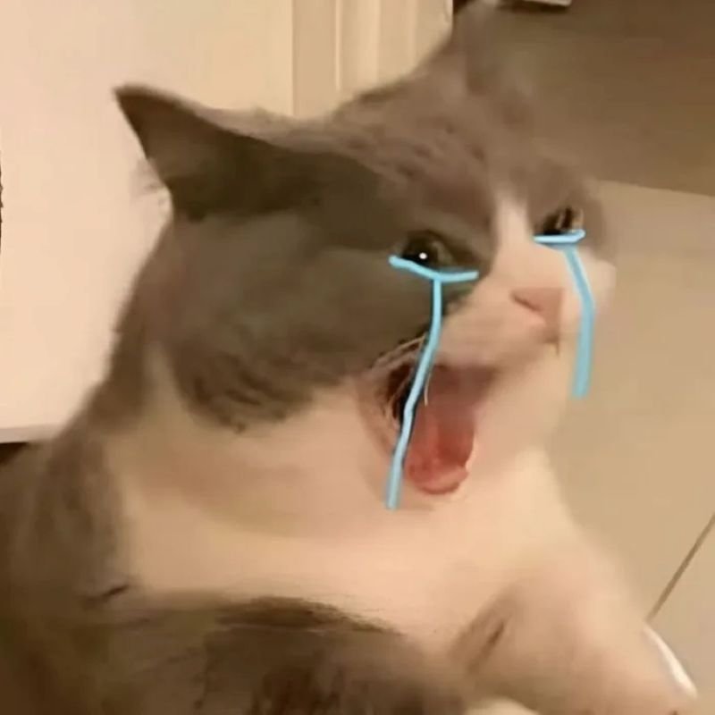 meme khóc lóc siêu hài hước