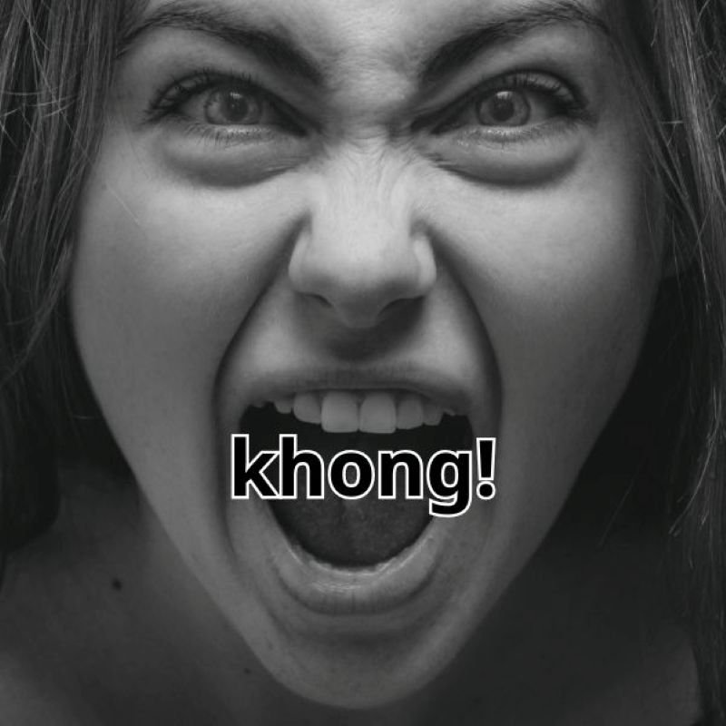 meme không biết nói gì luôn meme không biết nói gì luôn