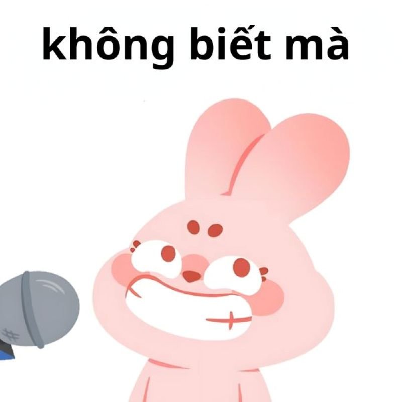meme không dành cho người nghiêm túc meme không dành cho người nghiêm túc