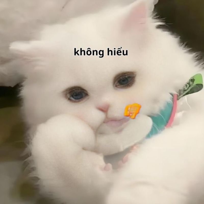 meme không đụng hàng cực chất meme không đụng hàng cực chất