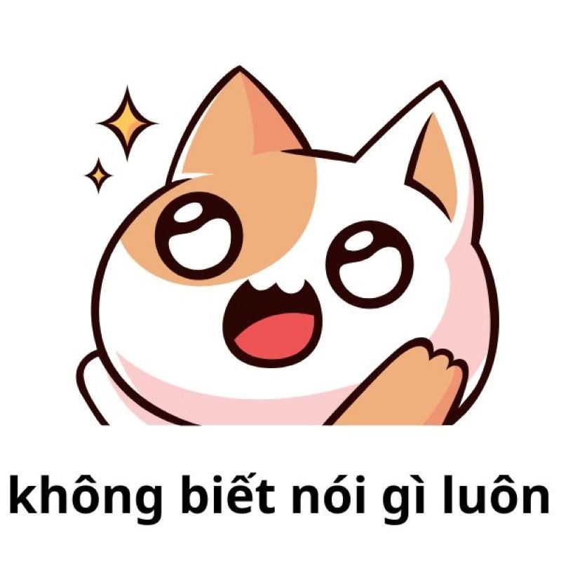 meme không thể bỏ qua hôm nay meme không thể bỏ qua hôm nay