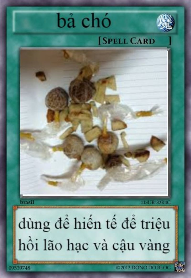 meme lá bài hài bựa đang viral