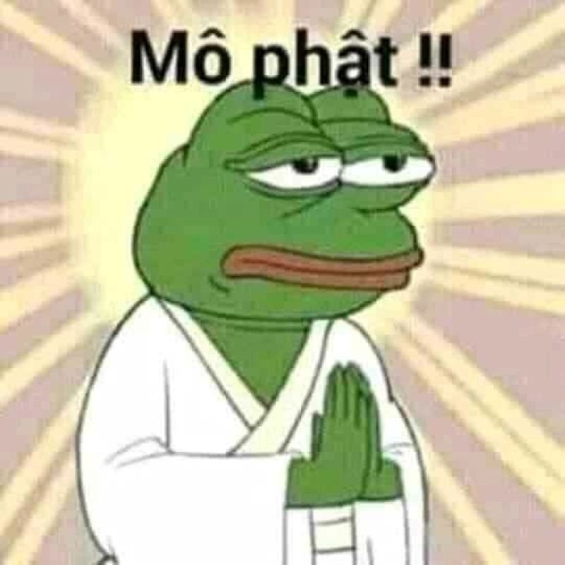 meme lạy bất lực trước cuộc đời meme lạy bất lực trước cuộc đời