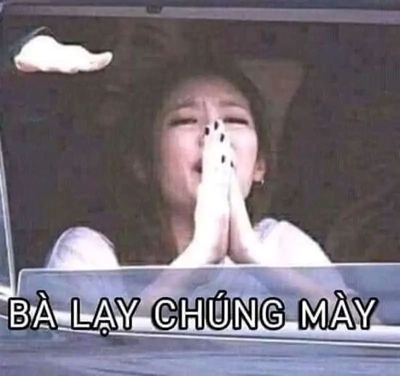 meme lạy biểu cảm hài không đỡ nổi meme lạy biểu cảm hài không đỡ nổi