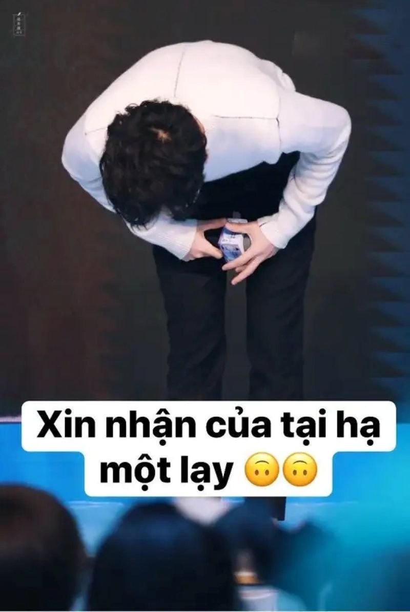 meme lạy cực duyên và khó đỡ meme lạy cực duyên và khó đỡ
