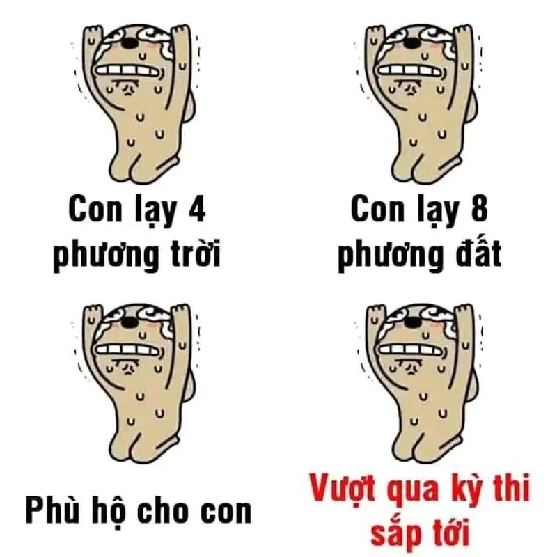 meme lạy dành cho hội mê meme meme lạy dành cho hội mê meme
