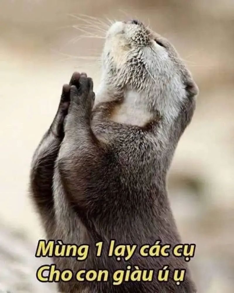 meme lạy đầy bất lực và tuyệt vọng meme lạy đầy bất lực và tuyệt vọng