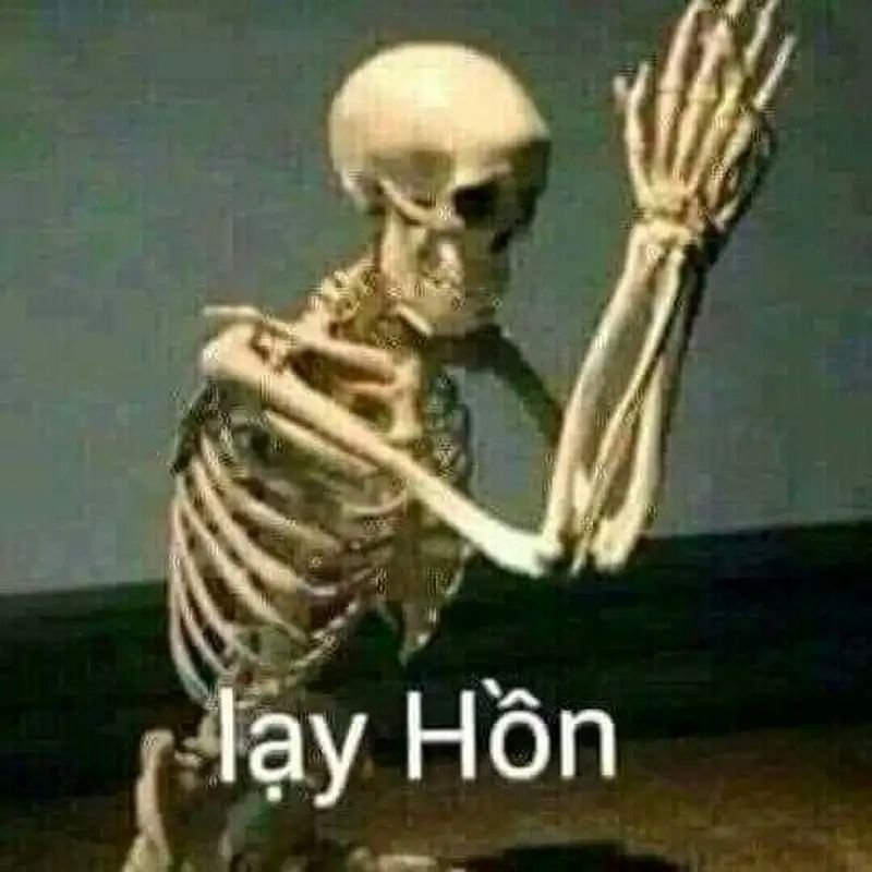 meme lạy đầy biểu cảm hài hước meme lạy đầy biểu cảm hài hước