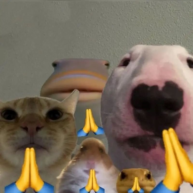 meme lạy dùng khi bất lực meme lạy dùng khi bất lực