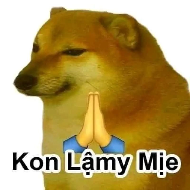 meme lạy hài hước khiến ai cũng cười meme lạy hài hước khiến ai cũng cười