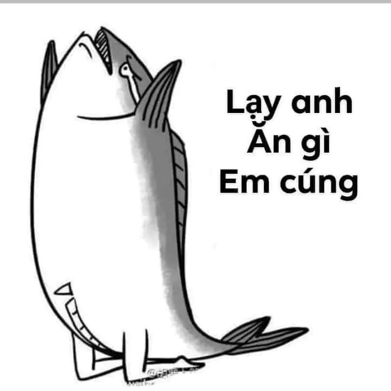 meme lạy hài hước khó đỡ nhất meme lạy hài hước khó đỡ nhất