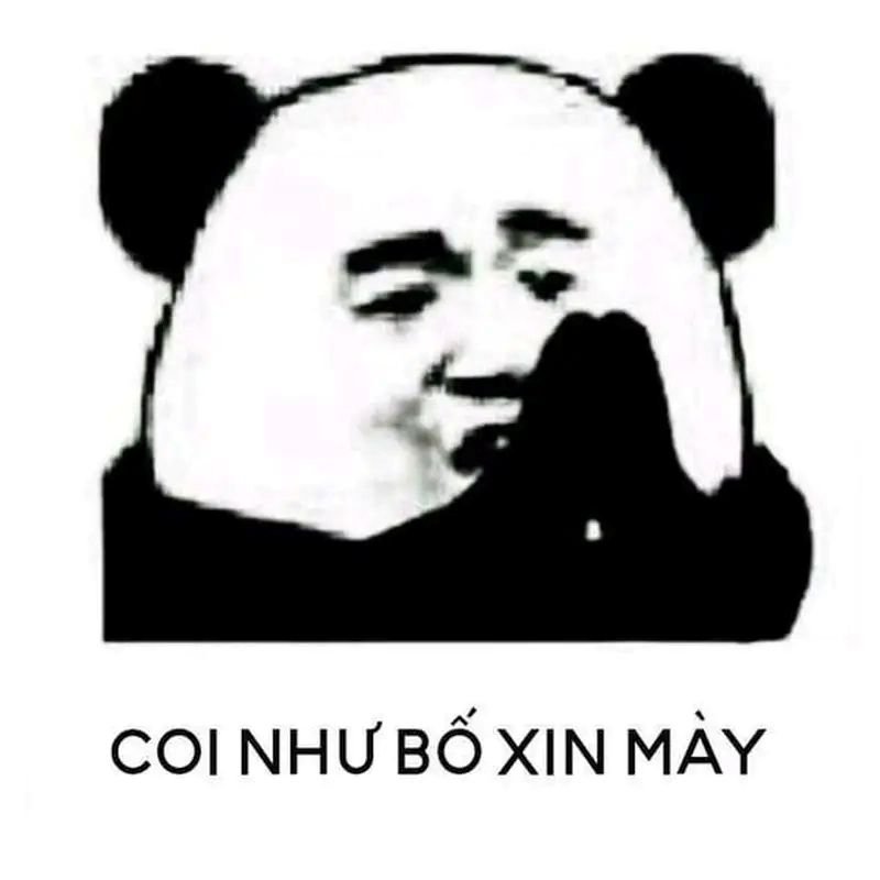meme lạy trước độ lầy của bạn meme lạy trước độ lầy của bạn
