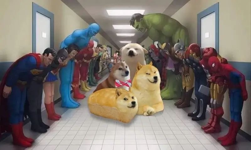 meme lạy xin một lần bình yên meme lạy xin một lần bình yên