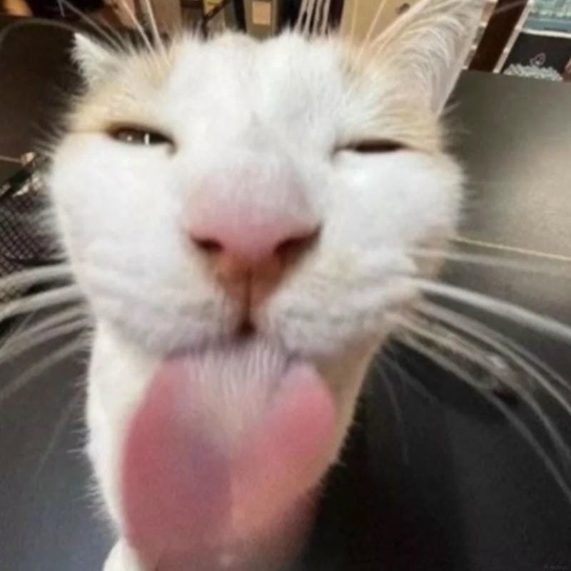 meme lè lưỡi biểu cảm cực kỳ vui