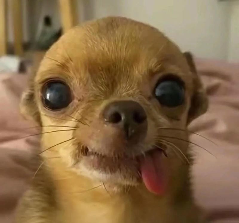meme lè lưỡi dùng để troll cực chất