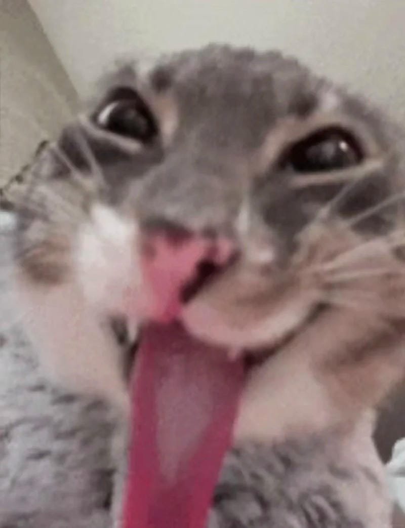 meme lè lưỡi hài hước khó đỡ