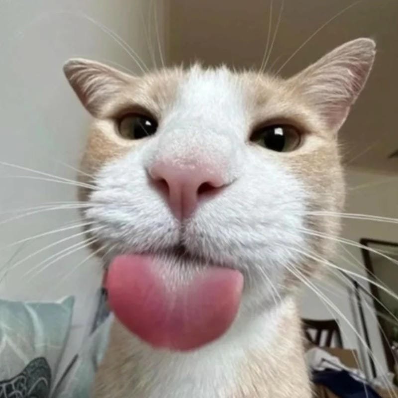 meme lè lưỡi troll bạn thân hài hước