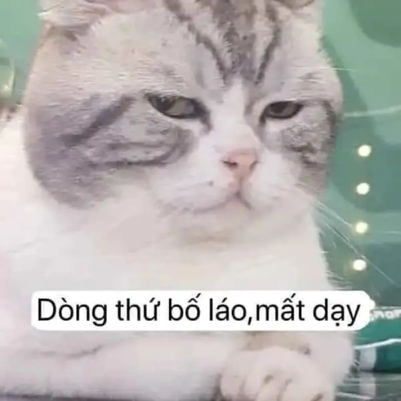 meme liếc hài hước khiến ai cũng thích