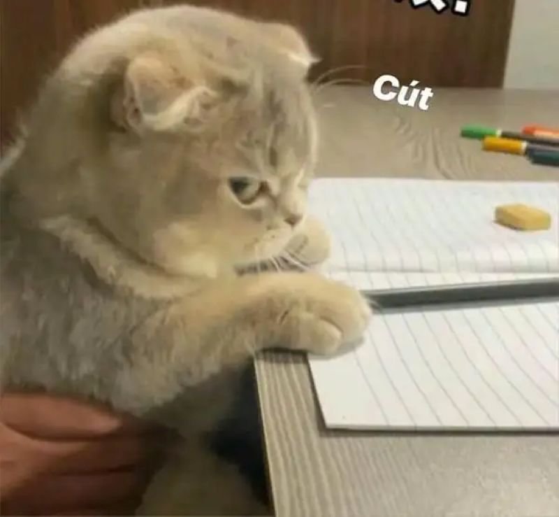meme liếc thể hiện sự nghi ngờ