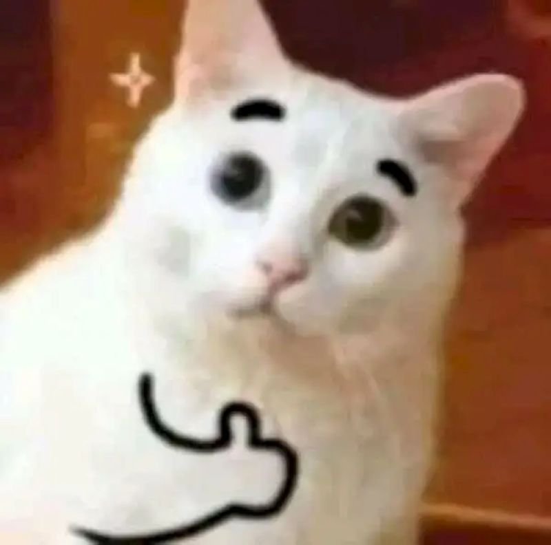meme like cực chất và lầy meme like cực chất và lầy