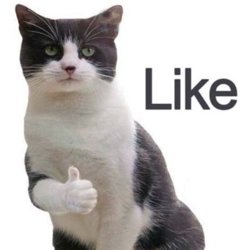 meme like độc đáo đang viral meme like độc đáo đang viral
