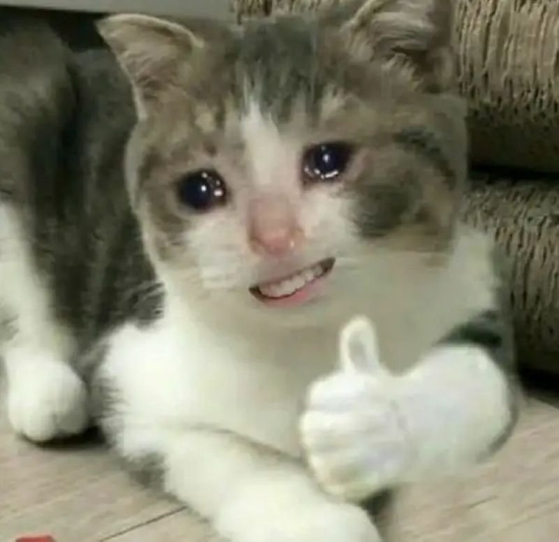 meme like hài khó đỡ nhất meme like hài khó đỡ nhất