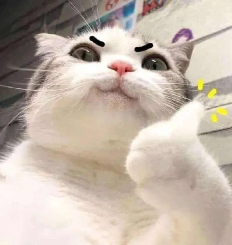 meme like khiến dân mạng bật cười meme like khiến dân mạng bật cười