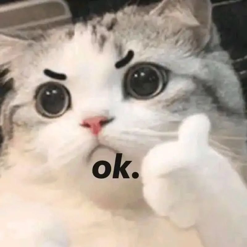 meme like viral khắp mạng xã hội meme like viral khắp mạng xã hội