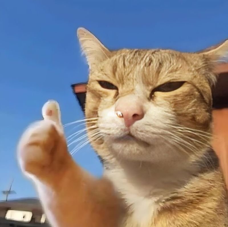 meme like vui nhộn trending meme like vui nhộn trending