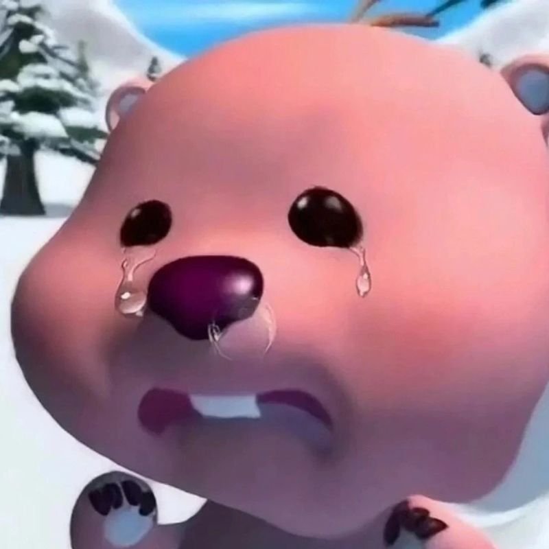 meme loopy cute cho ngày thêm vui meme loopy cute cho ngày thêm vui