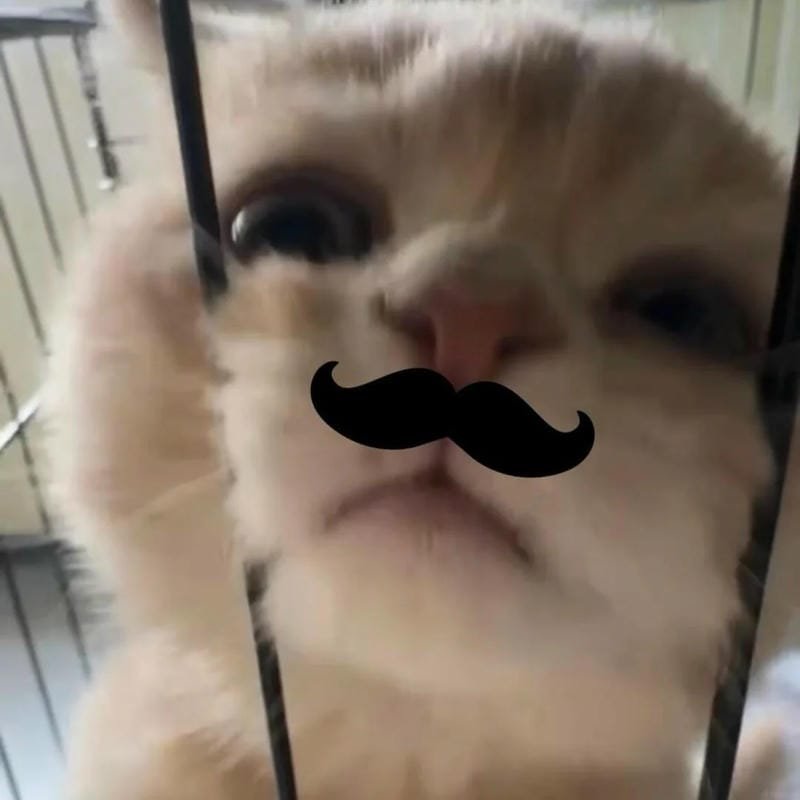 meme mèo buồn nhìn cực tội nghiệp meme mèo buồn nhìn cực tội nghiệp