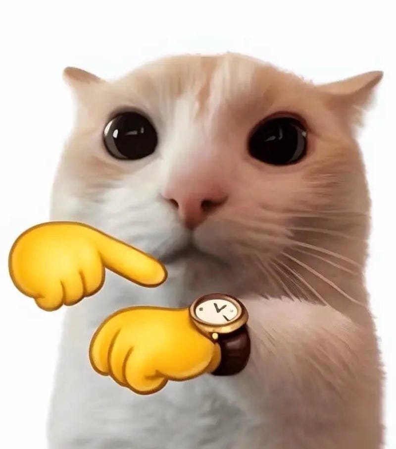 meme mèo cười đầy vẻ tinh quái meme mèo cười đầy vẻ tinh quái