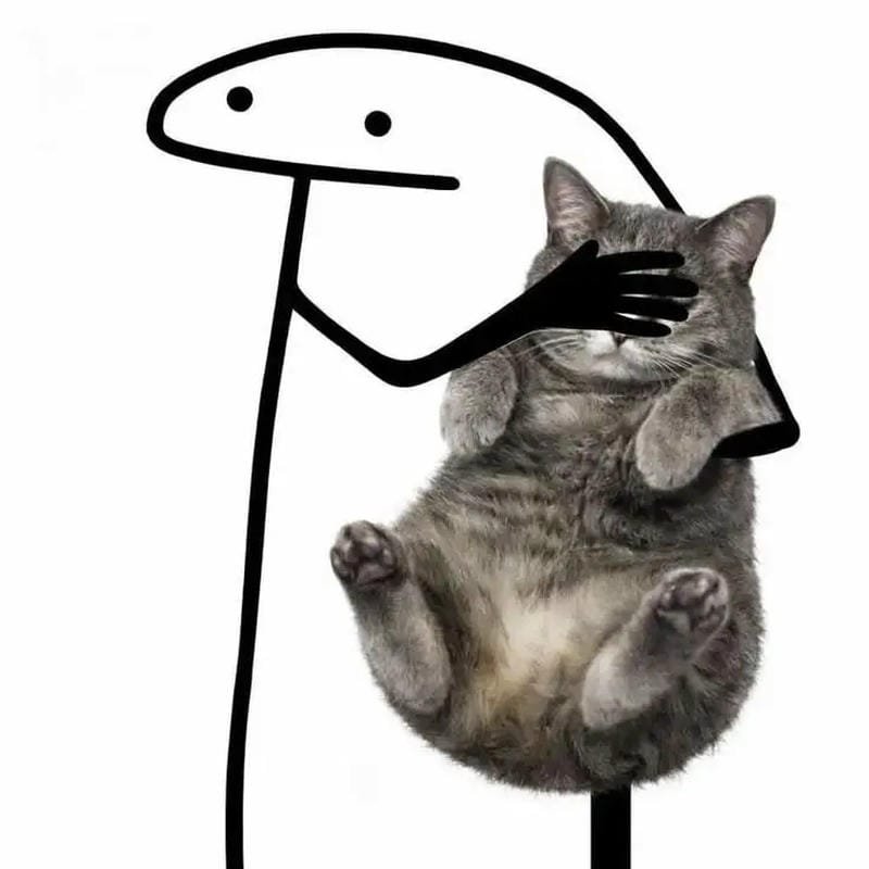 meme mèo diễn sâu cực kỳ hài hước meme mèo diễn sâu cực kỳ hài hước