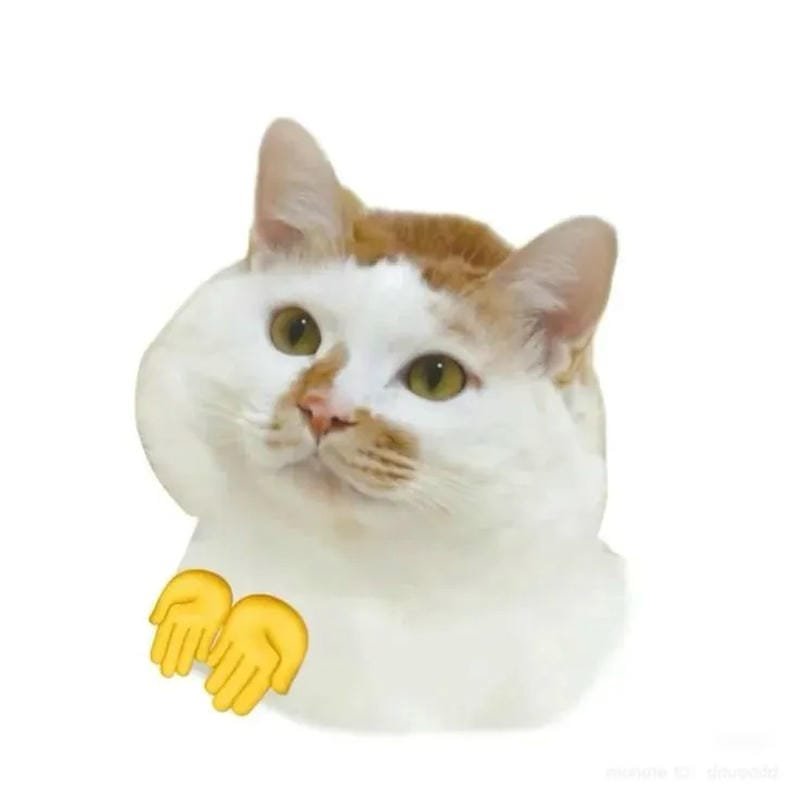 meme mèo giả ngơ khiến dân tình thích thú meme mèo giả ngơ khiến dân tình thích thú