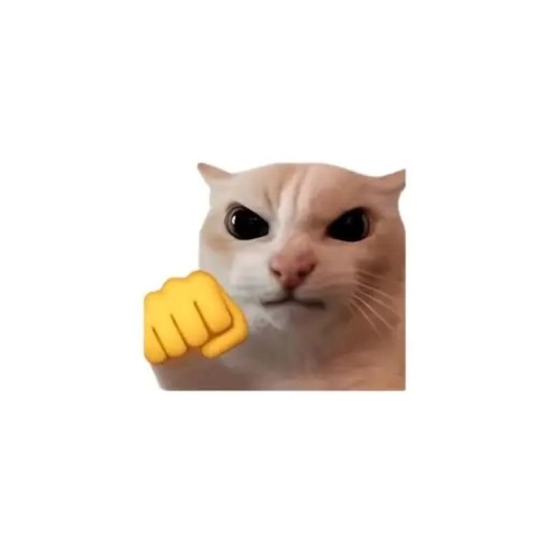 meme mèo hoang mang trước tình huống khó meme mèo hoang mang trước tình huống khó