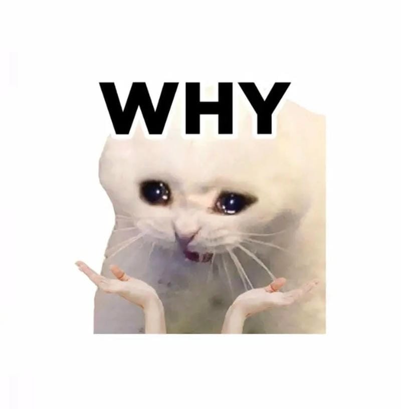 meme mèo lạnh lùng nhưng vẫn đáng yêu meme mèo lạnh lùng nhưng vẫn đáng yêu