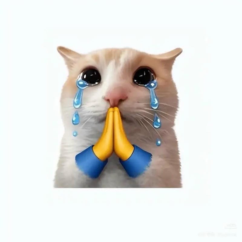 meme mèo lười biếng khiến ai cũng cười meme mèo lười biếng khiến ai cũng cười
