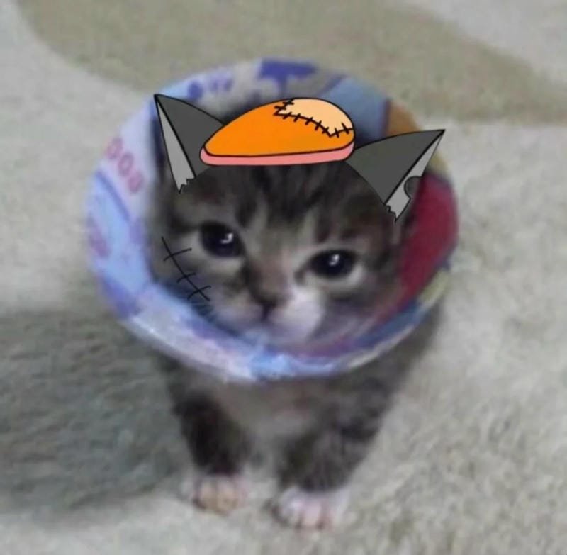 meme mèo ngáo ngơ cực kỳ đáng yêu meme mèo ngáo ngơ cực kỳ đáng yêu
