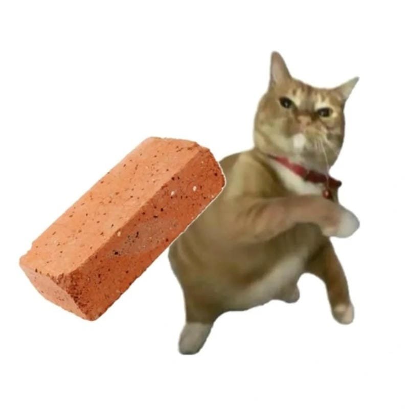 meme mèo tức tối nhìn cực buồn cười meme mèo tức tối nhìn cực buồn cười