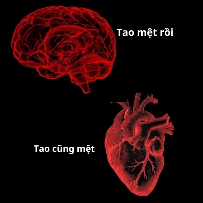 meme mệt mỏi cần được nghỉ ngơi
