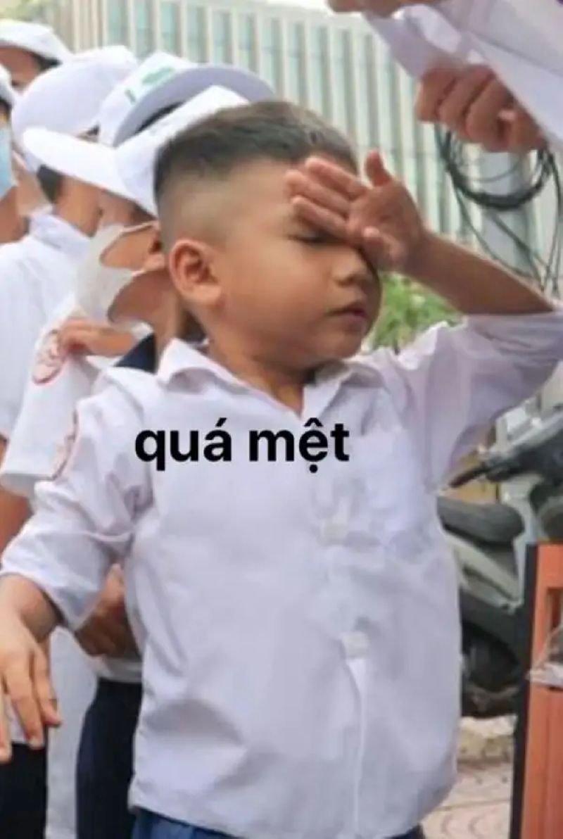 meme mệt mỏi cần một giấc ngủ
