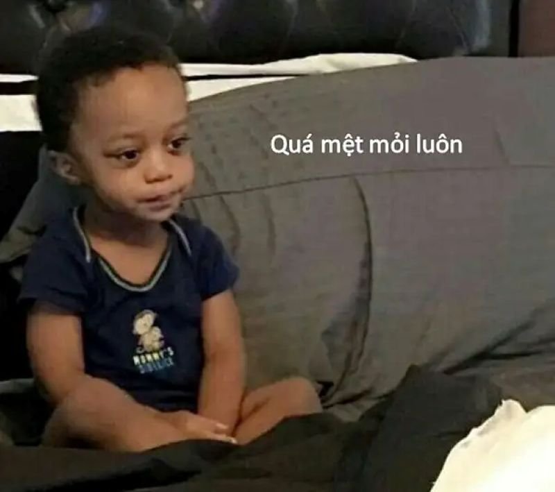 meme mệt mỏi dành cho ngày uể oải